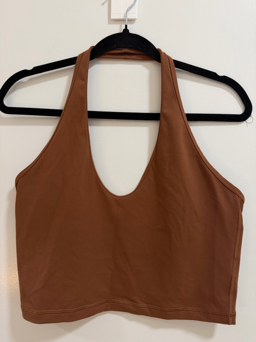 Aritzia Halter Top